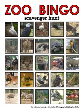 Zoo Bingo Scavenger Hunt by Stephen Wolfe | TPT