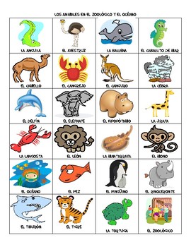 Zoo & Ocean Animal Vocabulary List by Hey Miss Senorita Black | TPT