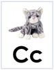 zoo phonics alphabet cards by teacher bs stuff tpt