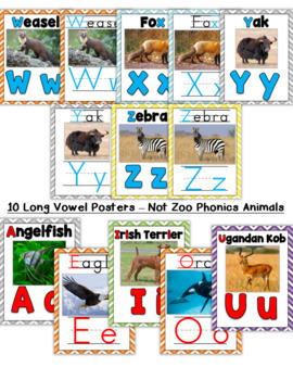 zoo phonics alphabet posters real animal pics zaner bloser font by