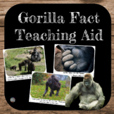 Zoo Unit - Gorilla Facts Teaching Aid **with real pictures