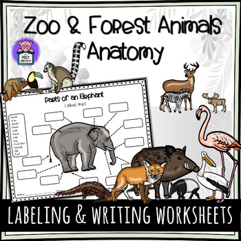 Preview of Zoo and Forest Animals - Informative Writing and Labeling