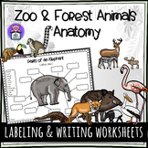 Zoo and Forest Animals - Informative Writing and Labeling