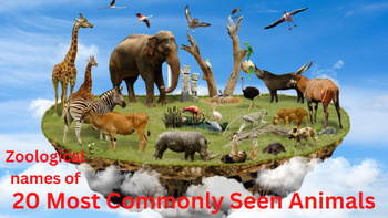 Preview of Zoological names of 20 most commonly seen animals