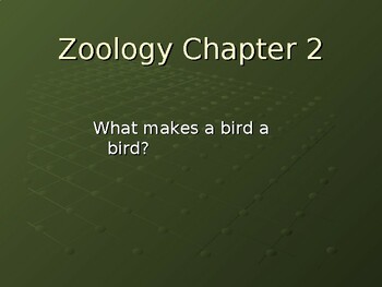 Preview of Zoology 1 ch 2, what makes a bird a bird?