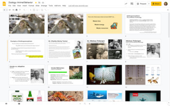 Preview of Zoology: Animal Behavior Google Slides / Notes / Presentation