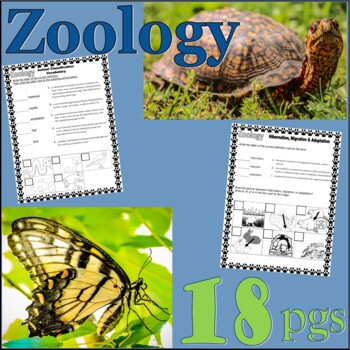 Preview of Zoology Animal Classification Science Unit Worksheets Vocabulary