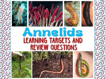 Preview of Zoology – Annelid Learning Targets and Review Questions