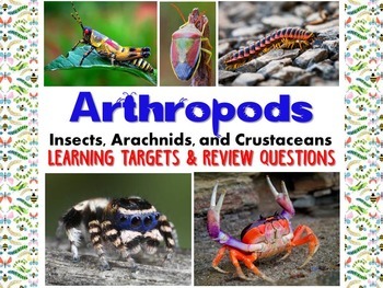 Preview of Zoology – Arthropod Learning Targets and Review Questions