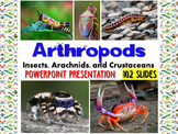 Zoology – Arthropod PowerPoint Presentation (insects, spid