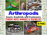 Zoology Arthropod Student Notes Handout & Key (insects, ar