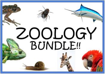 Preview of Zoology Bundle