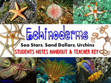 Zoology – Echinoderm  Student Notes Handout and Teacher Key