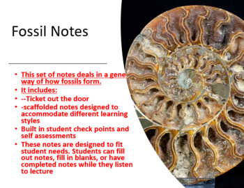 Bundle: Fossils Notes by Zoology Shop | TPT