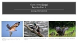 Zoology II (Vertebrate: Phylum Chordate) Aves Complete Les