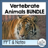 Zoology Lessons- Vertebrate Animals PowerPoint and Graphic