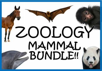 Preview of Zoology Mammals Bundle
