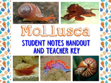 Zoology – Mollusk Student Notes Handout and Teacher Key
