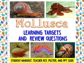Preview of Zoology – Mollusks Learning Targets and Review Questions