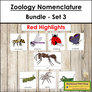 Preview of Zoology Nomenclature Bundle (Red) Set #3 - Montessori