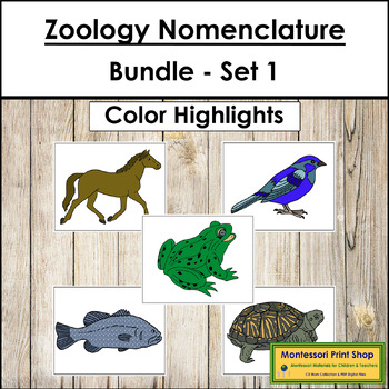 Preview of Zoology Nomenclature Bundle (Set #1) - Montessori