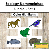 Zoology Nomenclature Bundle (Set #1) - Montessori