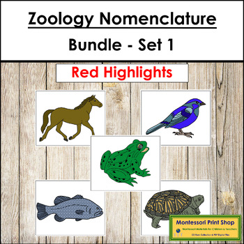 Preview of Zoology Nomenclature Bundle (Red) Set #1 - Montessori
