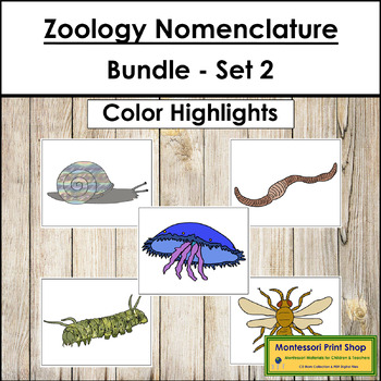 Preview of Zoology Nomenclature Bundle (Set #2) - Montessori