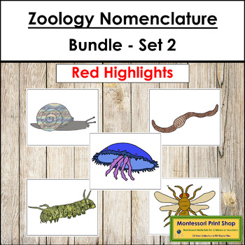 Preview of Zoology Nomenclature Bundle (Red) Set #2 - Montessori