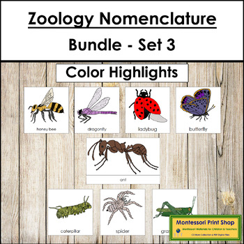 Preview of Zoology Nomenclature Bundle (Set #3) - Montessori