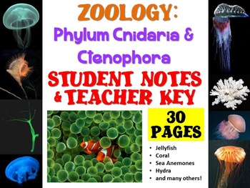 Preview of Zoology: Phylum Cnidaria and Ctenophora Notes Handout and Teacher Key