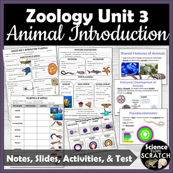 Preview of Zoology Unit 3: Introduction to Animals - High School Zoology Course