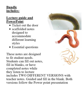 Preview of Zoology Worm Notes Bundle