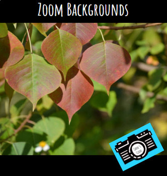 Preview of Zoom Backgrounds - Editable - Fall - Digital Security - Student Rewards