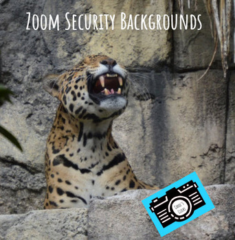 Preview of Zoom Backgrounds - Editable - Jaguar - Digital Security - Student Rewards