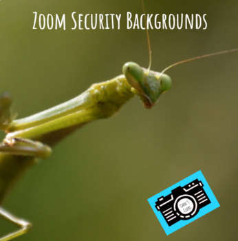 Preview of Zoom Backgrounds - Editable - Praying Mantis - Digital Security - Student Reward