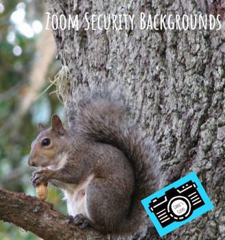 Preview of Zoom Backgrounds - Editable - Squirrel - Digital Security - Student Rewards