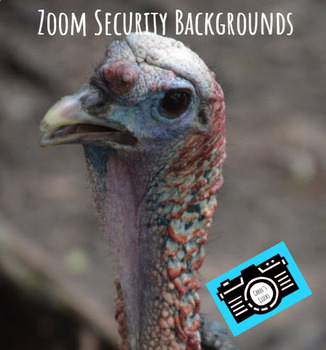 Preview of Zoom Backgrounds - Editable - Turkey - Digital Security - Student Rewards