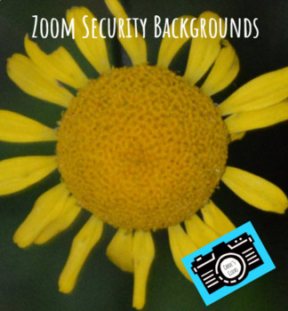 Preview of Zoom Backgrounds - Editable - Yellow Flower - Digital Security - Student Rewards