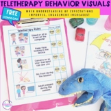 Zoom Rules for Teletherapy Speech Sessions