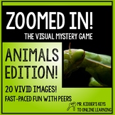 Zoomed In! The Visual Mystery Game ANIMALS EDITION!