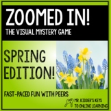 Zoomed In! The Visual Mystery Game SPRING EDITION!