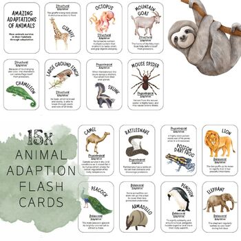 Preview of animal adaptions flash cards