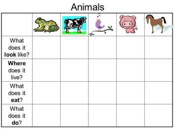 Preview of animal graphic organizer