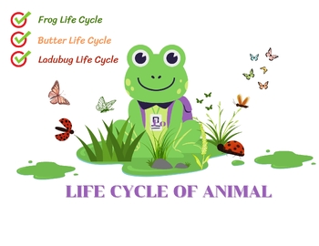 Preview of animal life cycle worksheet