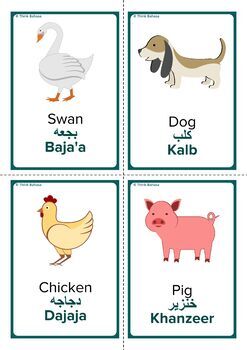 Animals Arabic Flashcards by Language Forum | TPT