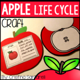 Apple Activities: Apple Life Cycle Activity