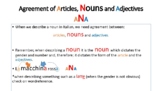 article NOUN adjective agreement