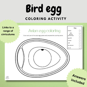 Preview of avian bird egg anatomy coloring labelling biology diagram worksheet activity