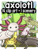 axolotl 14 clip art + 1  swamp scenery